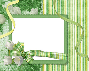 Frame Flower Green Strips Image